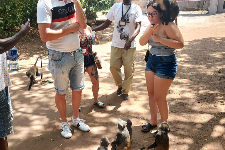 Mombasa: Gede Ruins, Malindi & Marafa Hell’s Kitchen Tour