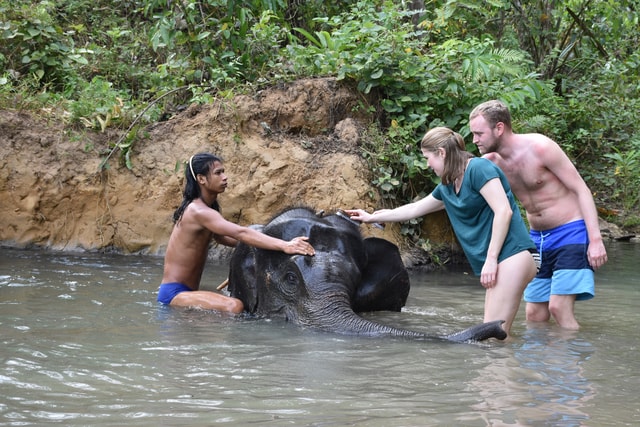 Krabi: Tour of Elephant Care House and Tiger Cave Temple