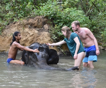 Krabi: Tour of Elephant Care House and Tiger Cave Temple