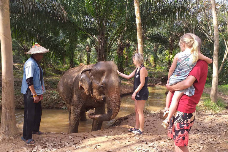 Krabi: Tour of Elephant Care House and Tiger Cave TempleHotel Pickup in Krabi Town, Klong Muang, Ao Nang, Ao Nam Mao