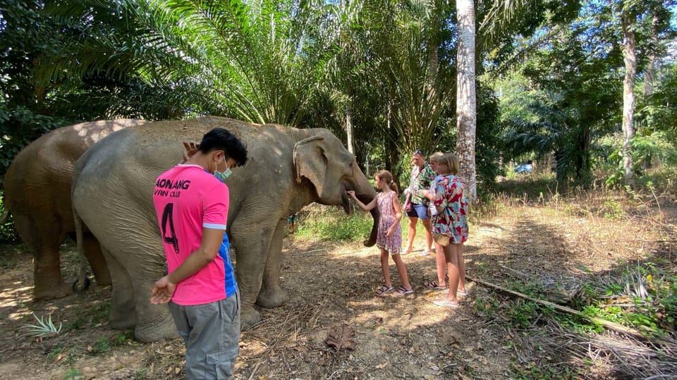 Krabi Rondleiding Door Het Olifantenverzorgingshuis En De Tijgergrottempel GetYourGuide