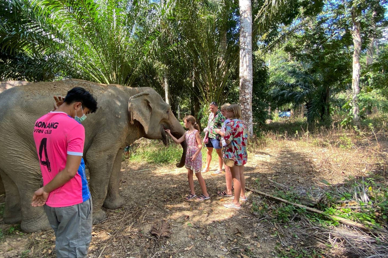 Krabi: Tour of Elephant Care House and Tiger Cave TempleHotel Pickup in Krabi Town, Klong Muang, Ao Nang, Ao Nam Mao