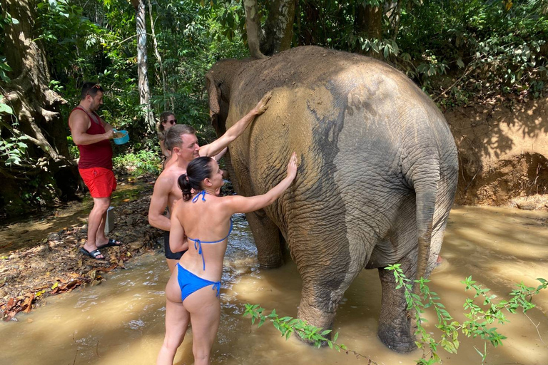 Krabi: Tour of Elephant Care House and Tiger Cave TempleHotel Pickup in Krabi Town, Klong Muang, Ao Nang, Ao Nam Mao