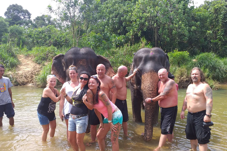 Krabi: Tour of Elephant Care House and Tiger Cave TempleHotel Pickup in Krabi Town, Klong Muang, Ao Nang, Ao Nam Mao