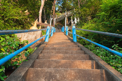 Krabi: Tour of Elephant Care House and Tiger Cave TempleHotel Pickup in Krabi Town, Klong Muang, Ao Nang, Ao Nam Mao