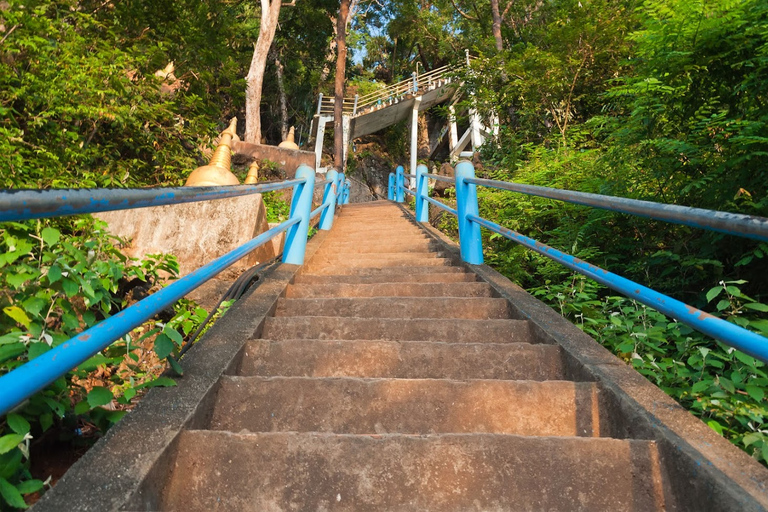 Krabi: Tour of Elephant Care House and Tiger Cave TempleHotel Pickup in Krabi Town, Klong Muang, Ao Nang, Ao Nam Mao