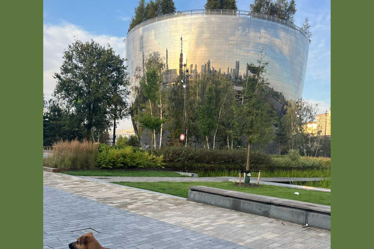 Rotterdam: DOG Walking Tour - Fun with your Furry Friends!