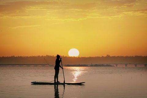 Abu Dhabi: stand-up paddle-tour in de mangroven