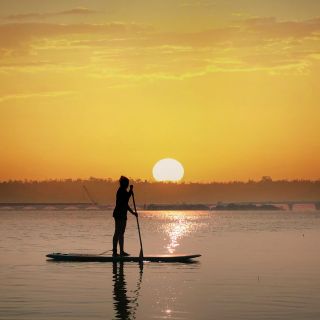 Abu Dhabi: Stand-Up Paddle Tour in the Mangroves