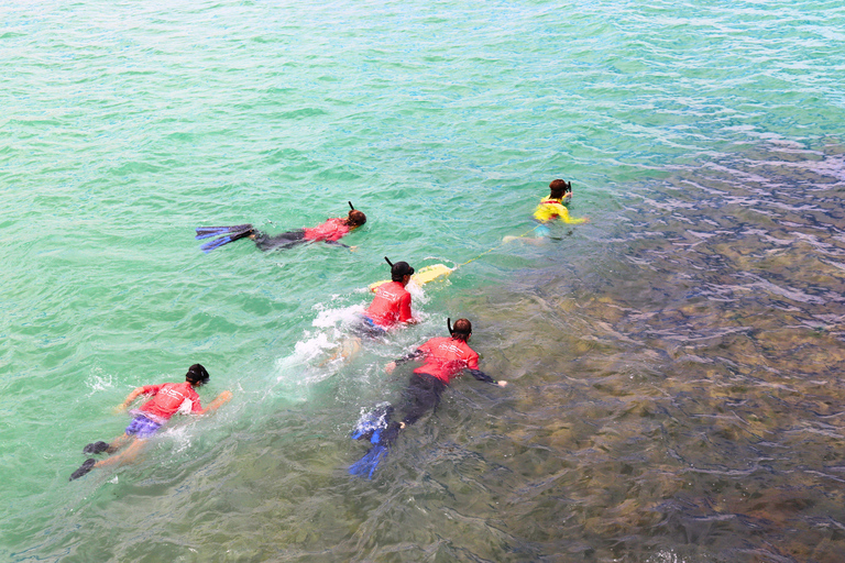 Adelaide: Fleurieu Snorkel & Beer Safari