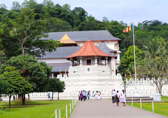 Visit From Bentota or Beruwela Private Day Tour to Kandy in India