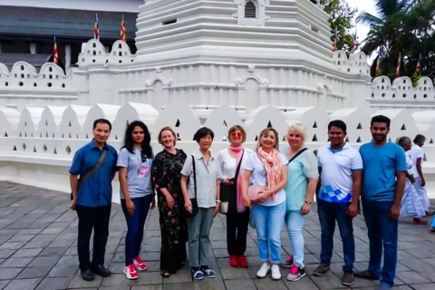Z Bentoty lub Beruweli: Prywatna wycieczka do Kandy