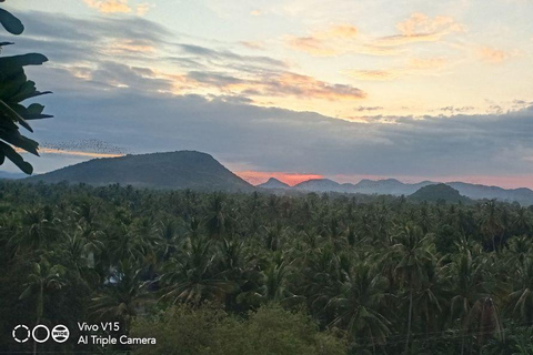 Mezza giornata a Battambang