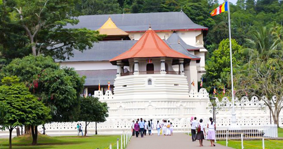 2 Days Kandy And Nuwara Eliya Tour From Colombo Getyourguide
