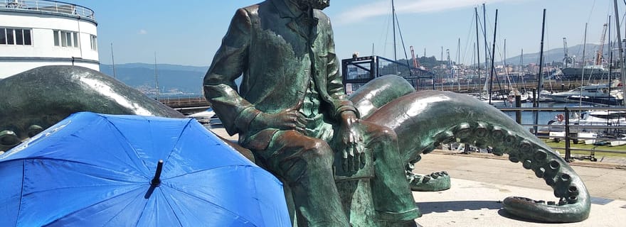 Vigo : Visite guidée privée avec un guide de région