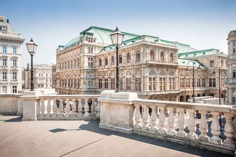 Best of Vienna 1-dagstur med bil med Schonbrunn-biljetter7-timmars rundtur med biljett till Gamla stan och slottet Schonbrunn