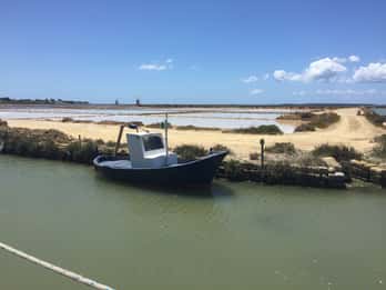 Vanuit Trapani: Stagnoneilanden van Marsala en zoutpannen