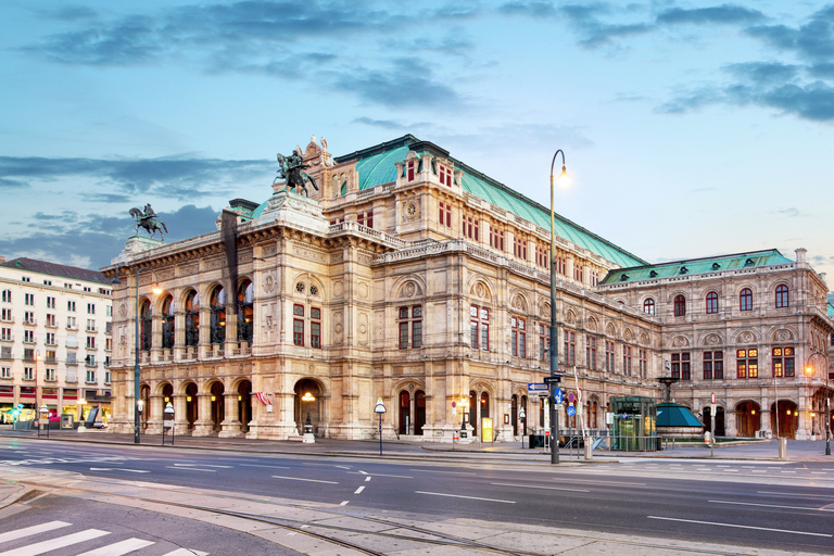 Vienna: Mozart, Beethoven, & Strauss Private Tour 5.5-hour Private Guided Tour with Classical Concert