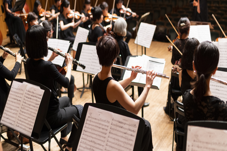 Vienne : visite privée de Mozart, Beethoven et StraussVisite guidée privée de 5,5 heures avec concert classique