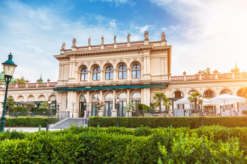 Vienna: Mozart, Beethoven, & Strauss Private Tour 4-Hour Private Guided Tour