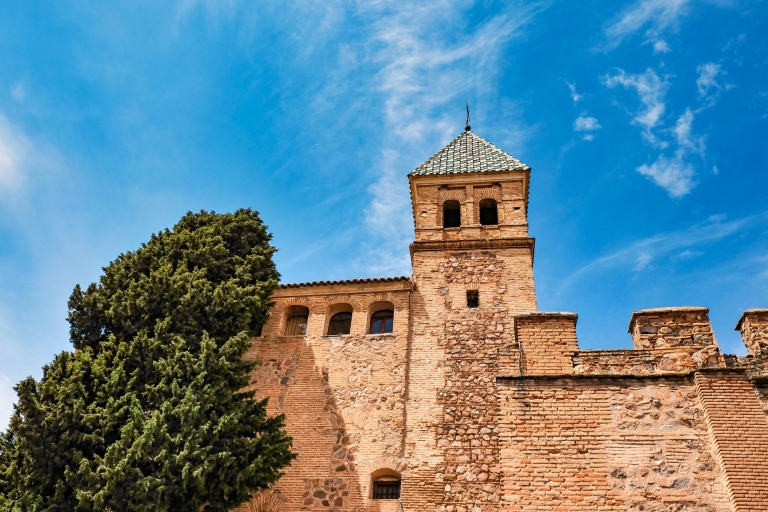 Van Madrid: privétour Avila, Segovia en Toledo