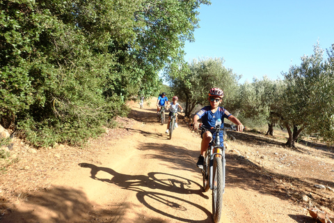 Pequenos vilarejos e a natureza de Creta. Passeio de E-BikeDe Analipsi: passeio off-road de bicicleta elétrica