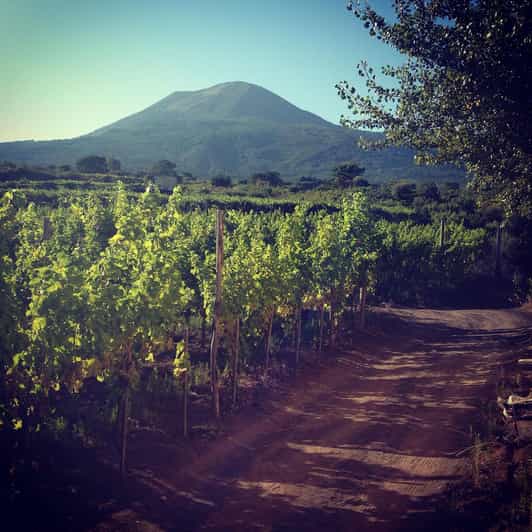 Naples Mount Vesuvius Vineyard Tour w/ Lunch & Wine Tasting GetYourGuide