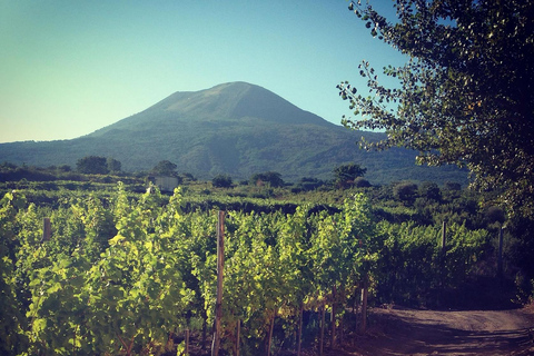 Napels: wijnproeverij op de hellingen van de Vesuvius