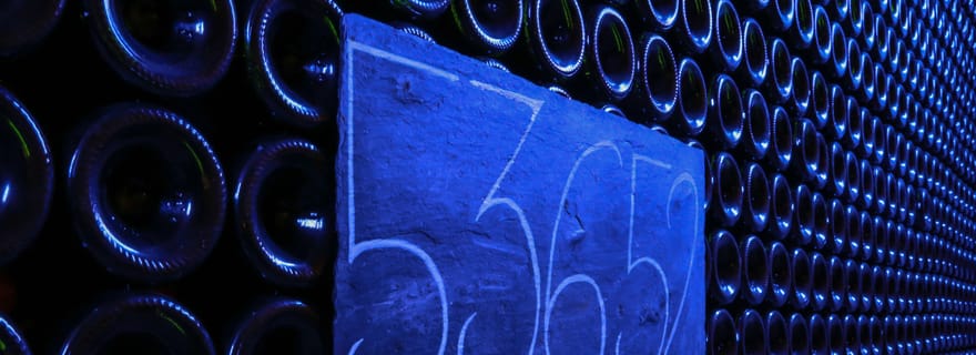 Épernay : visite d'un domaine viticole et d'une cave avec dégustation de champagne