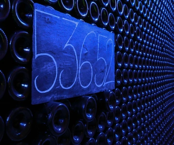 Epernay: tour delle cantine con degustazione di champagne