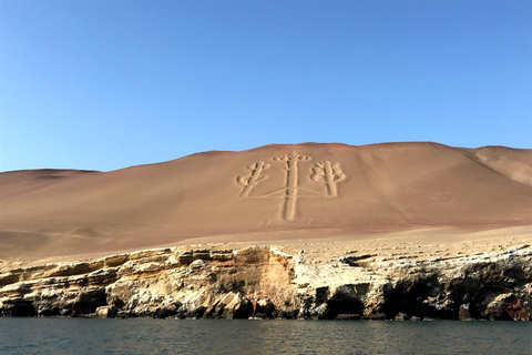 2 days from Lima Ballestas, Paracas, Huacachina and Nazca