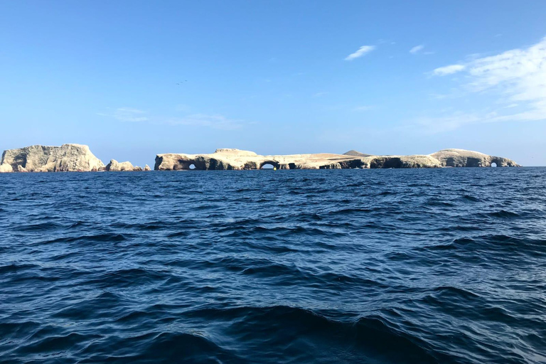 2 days from Lima Ballestas, Paracas, Huacachina and Nazca