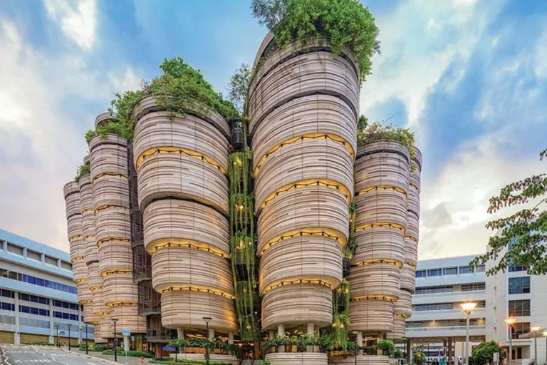 Singapore: Nanyang Technological University Campus Tour