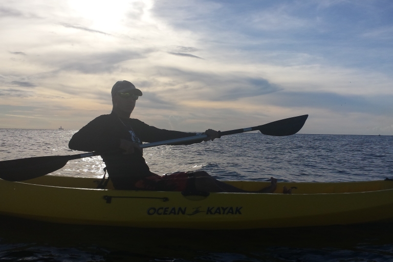 Aruba: Clear-bottom Kayak Guided Night Tour on Arashi Beach