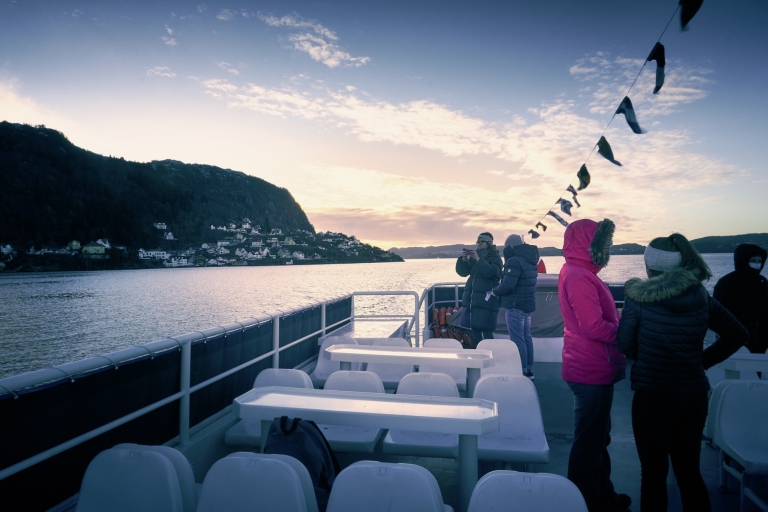 Bergen: City Sightseeing, Fjord Cruise & Mt. Fløyen Standseilbahn