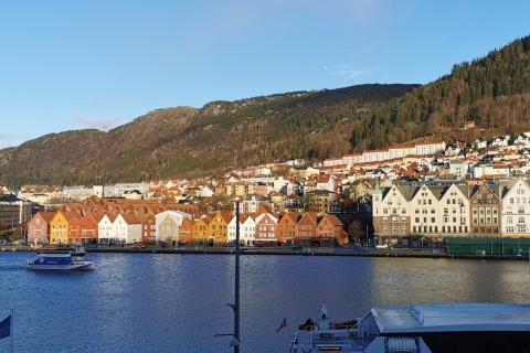 Bergen: City Sightseeing, Fjord Cruise & Mt Fløyen Funicular