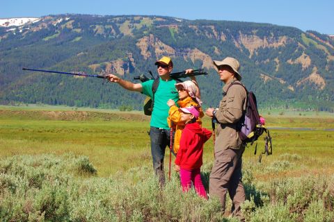 Lamar Valley: Safari Hiking Tour with Lunch