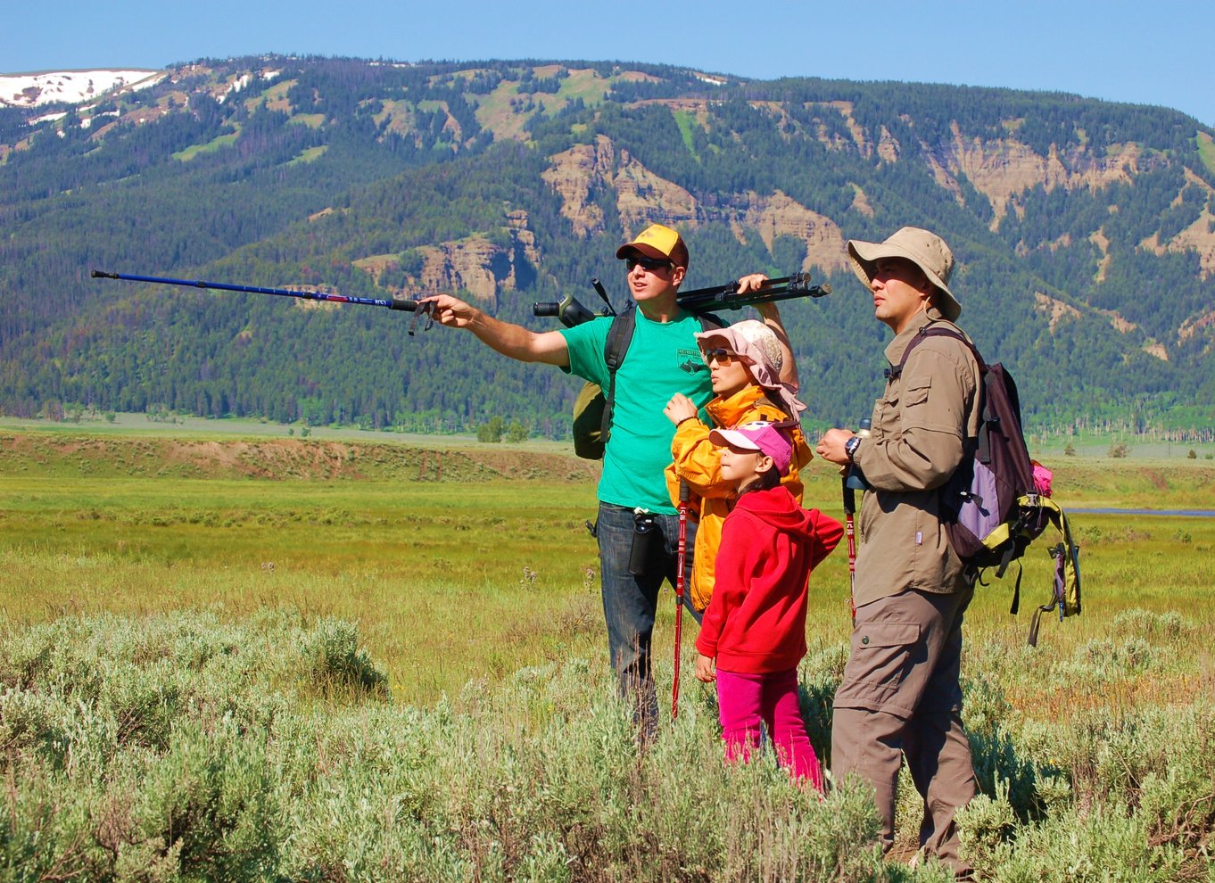 Lamar Valley: Safari-vandretur med frokost