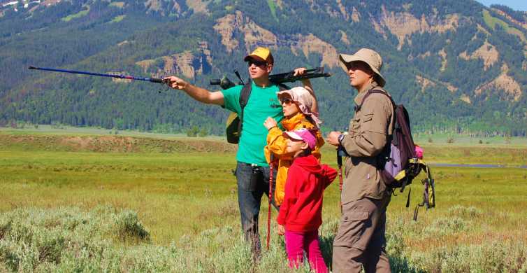 Lamar Valley Safari Hiking Tour with Lunch GetYourGuide