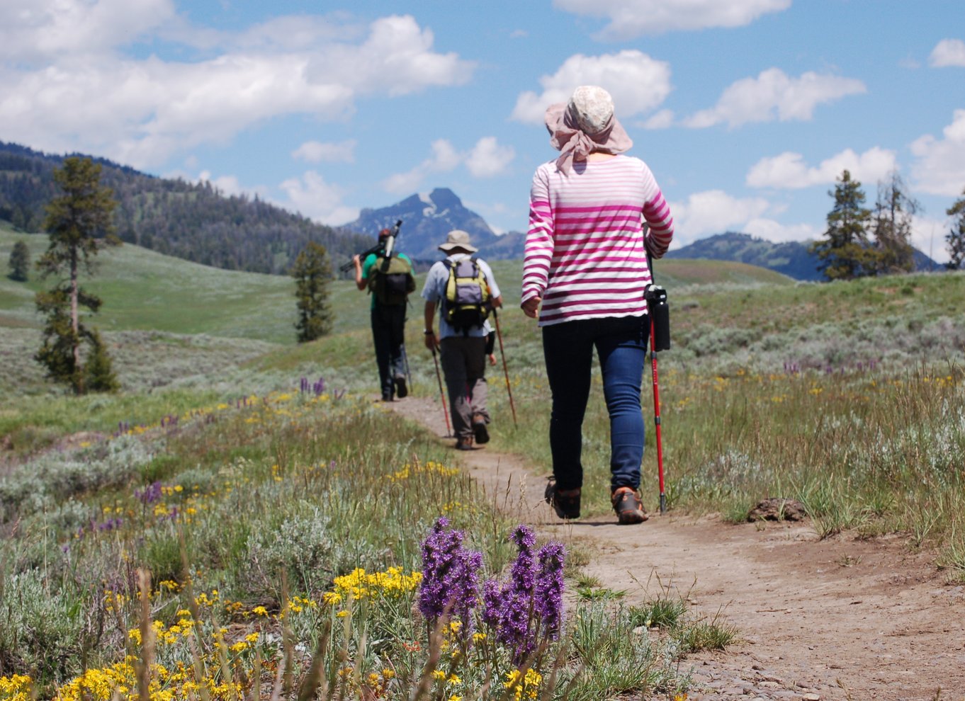 Lamar Valley: Safari-vandretur med frokost