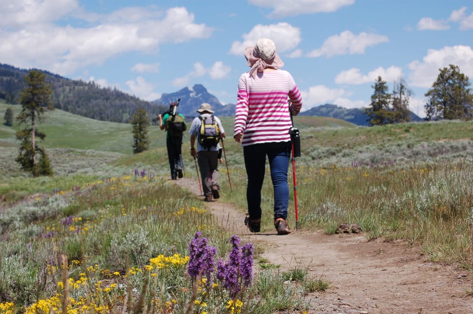 Lamar valley clearance hiking trails