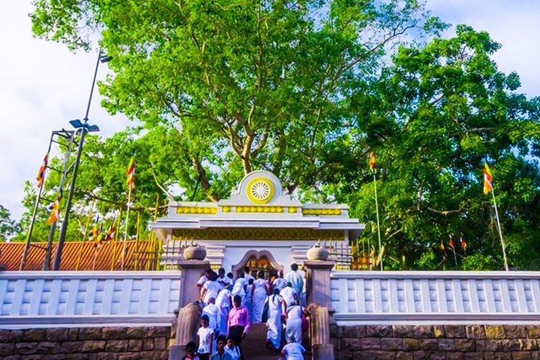 Anuradhapura: visita guiada en tuk-tuk al sitio arqueológico