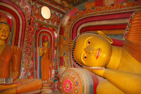 Colombo: excursion d'une journée avec le temple Gangaramaya