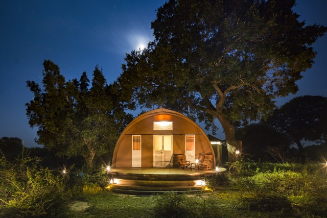 Visit Yala National Park 3-Day Private Luxury Glamping Experience in Tangalle