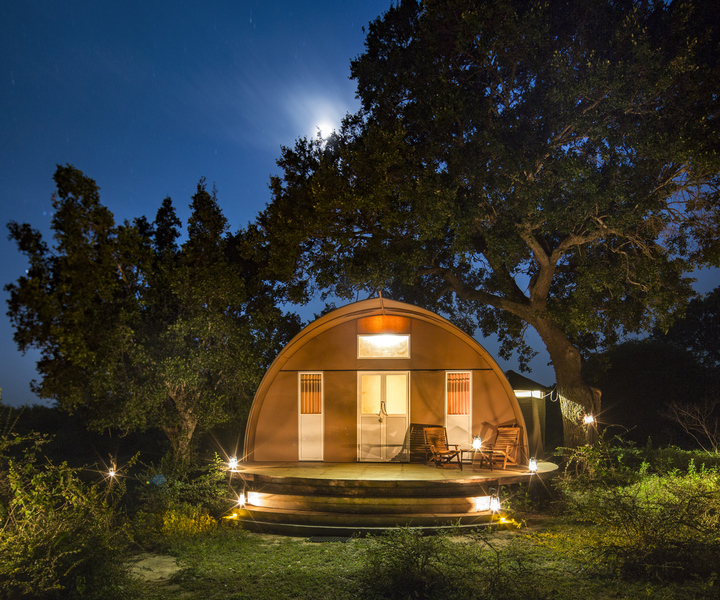 Yala National Park: 3-Day Private Luxury Glamping Experience