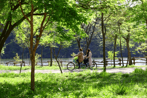 Seúl: Teleférico de Samaksan y Nami con Alpaca World/RailbikeExcursión en Grupo Alpaca, encuentro en Dongdaemun (DDP)