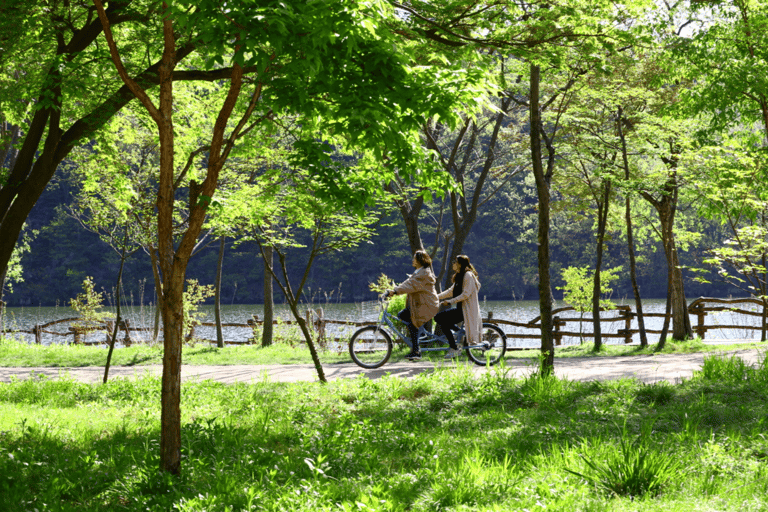 Seoul: Samaksan Cable Car & Nami with Alpaca World/Railbike Alpaca Group Tour, meet at Myeongdong