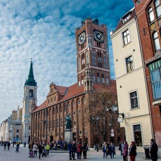 From Gdansk: Private Torun Van and Walking Tour