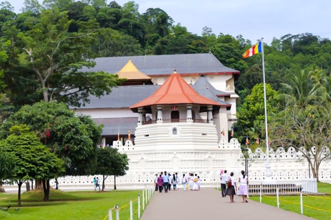 Sri Lanka: excursión privada de un día a Kandy con recogidaRecogida en Colombo y Mount Lavinia