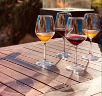 Saturnia, Tour por la granja toscana con cata de vinos - Hizvo
